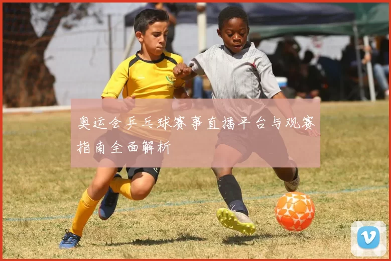 奥运会乒乓球赛事直播平台与观赛指南全面解析