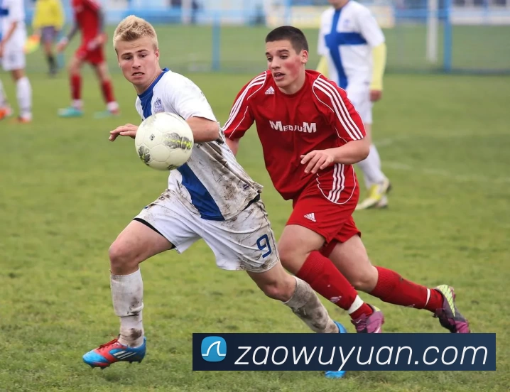 多媒体互动体验